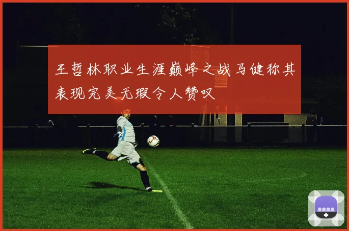 王哲林职业生涯巅峰之战马健称其表现完美无瑕令人赞叹