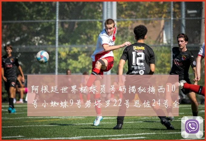 阿根廷世界杯球员号码揭秘梅西10号小蜘蛛9号劳塔罗22号恩佐24号全解析