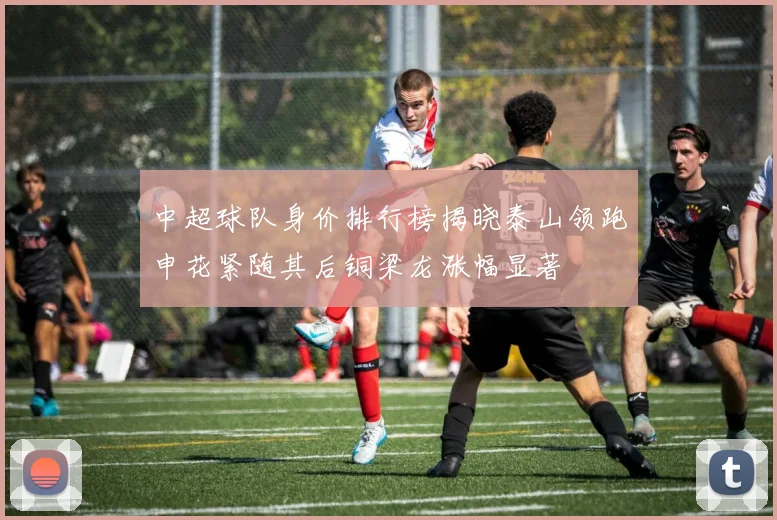 中超球队身价排行榜揭晓泰山领跑申花紧随其后铜梁龙涨幅显著